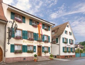 Отель Hotel Adler - Weil am Rhein / Basel  Вайль-На-Рейне